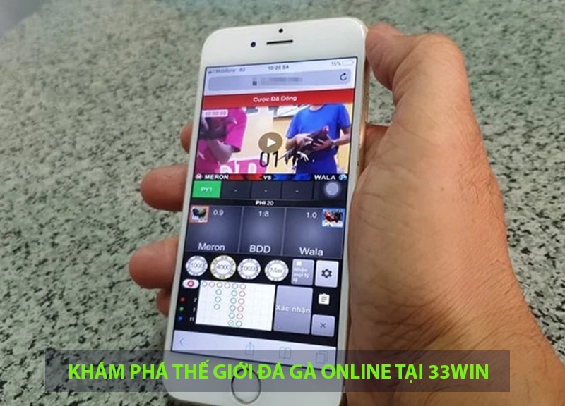 Đá Gà Nền tảng đá gà online sôi động tại 33win